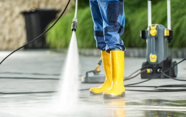 Best Pressure Washing Near Me  in Winnfield, LA